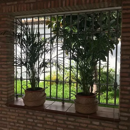 Cai